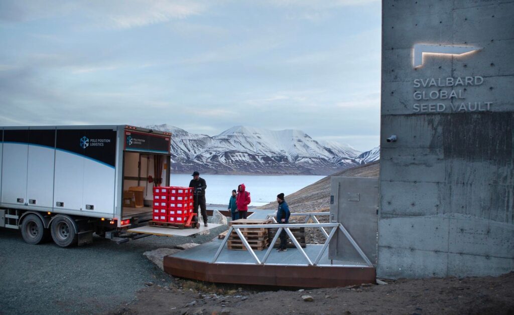 Arcitc Seed Vault receives largest deposit of seeds amid conflict and climate crisis