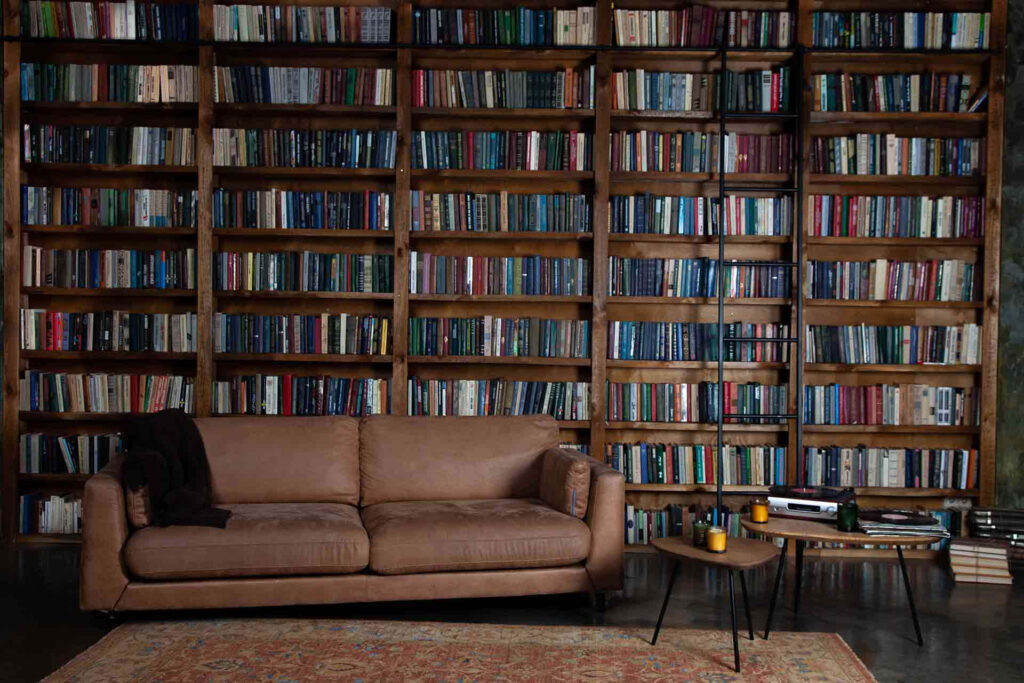 Why history and social science cannot replace classic fiction