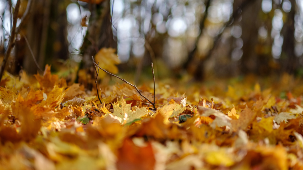 Why is 60 degrees in the fall different than in the spring?